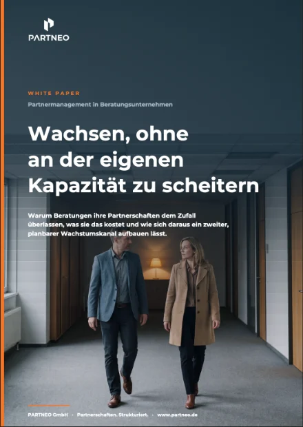 Titelseite des Whitepapers für Beratungsunternehmen